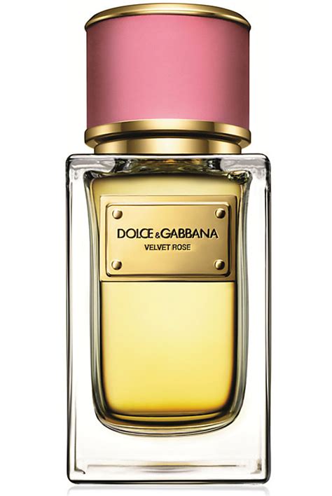 perfume desire dolce gabbana opiniones|velvet rose dolce and gabbana.